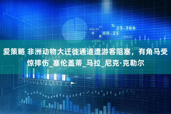 爱策略 非洲动物大迁徙通道遭游客阻塞，有角马受惊摔伤_塞伦盖蒂_马拉_尼克·克勒尔