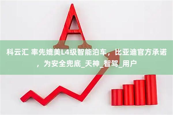 科云汇 率先媲美L4级智能泊车，比亚迪官方承诺，为安全兜底_天神_智驾_用户