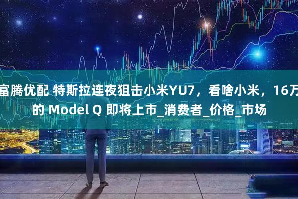 富腾优配 特斯拉连夜狙击小米YU7，看啥小米，16万的 Model Q 即将上市_消费者_价格_市场