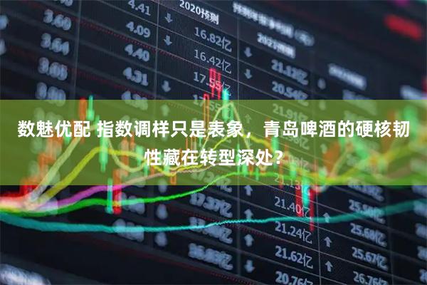 数魅优配 指数调样只是表象，青岛啤酒的硬核韧性藏在转型深处？
