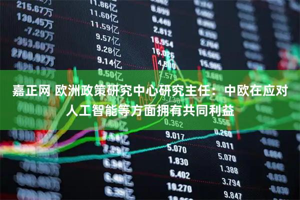 嘉正网 欧洲政策研究中心研究主任：中欧在应对人工智能等方面拥有共同利益