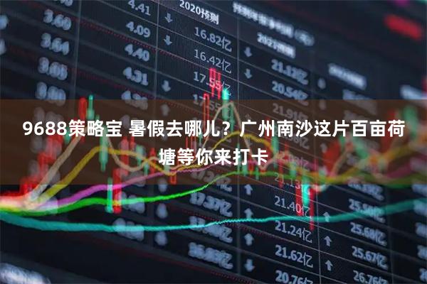 9688策略宝 暑假去哪儿？广州南沙这片百亩荷塘等你来打卡
