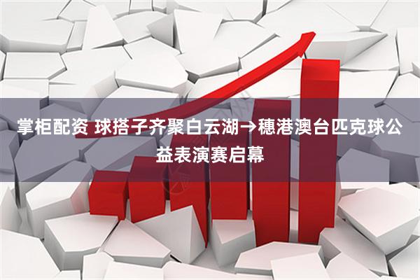 掌柜配资 球搭子齐聚白云湖→穗港澳台匹克球公益表演赛启幕